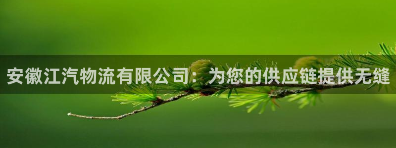 28圈流水怎么算：安徽江汽物流有限公