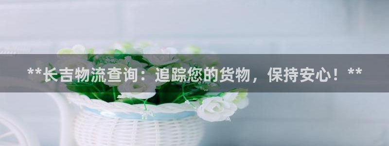 28圈自行车图片大全