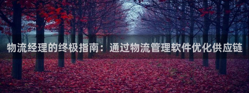 28圈玩法