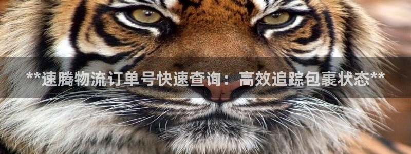 28圈退款