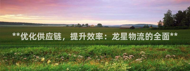 28圈怎么注册：**优化供应链，提升