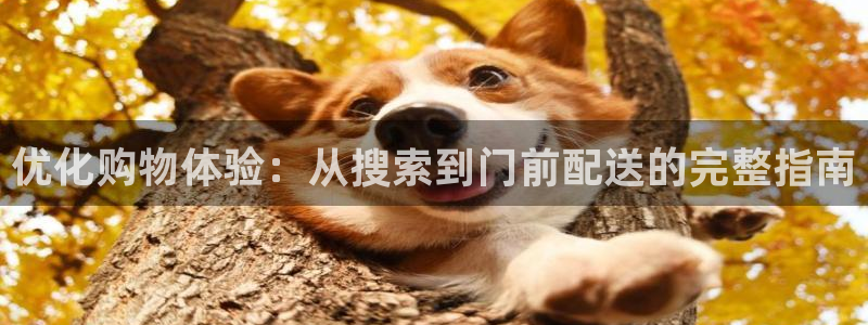 28圈南宫娱乐官网：优化购物体验：从