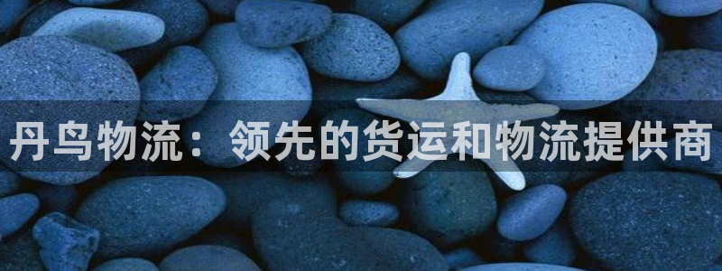 28圈取保