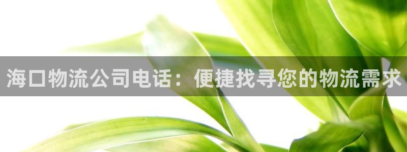 28圈官网版2024