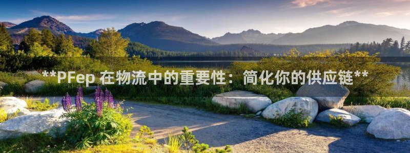 28圈注册官网：**PFep 在物流