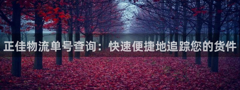 28圈加拿大在线预测