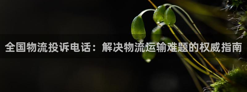 28圈加拿大在线预测：全国物流投诉电