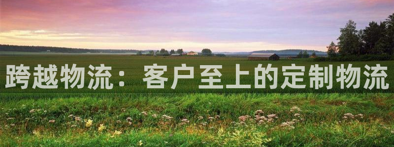 28圈注册链接：跨越物流：客户至上的