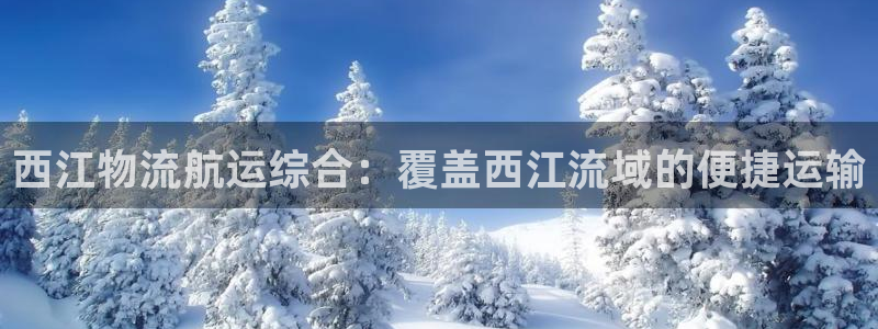 28圈忘记账号