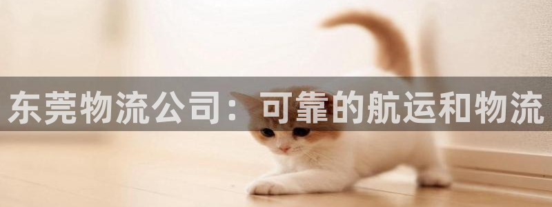 28圈旗下