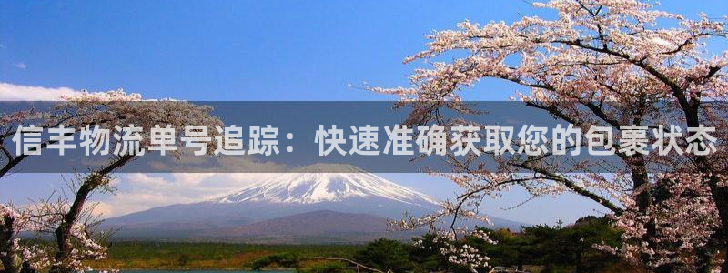 28圈麻将胡了爆分视频