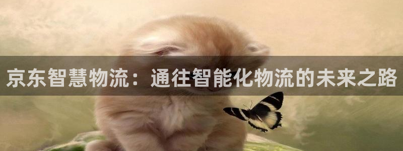 28圈推广链接是多少粉丝