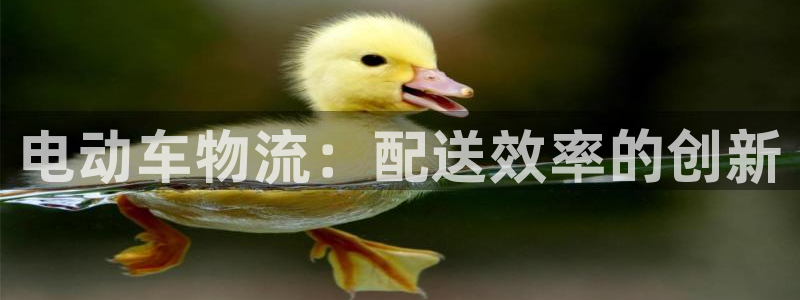 28圈分分28输了能不能退