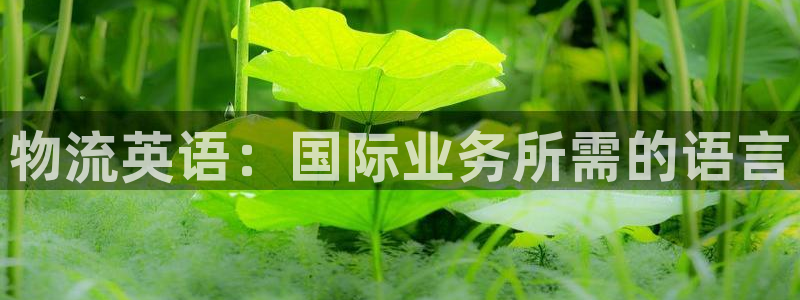 麻将128圈