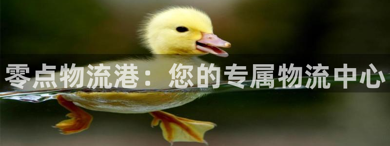 28圈app官网少林足球