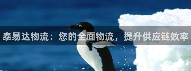 28圈黑不黑