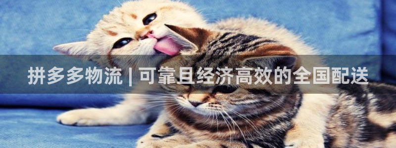 28圈软件总是闪退怎么回事
