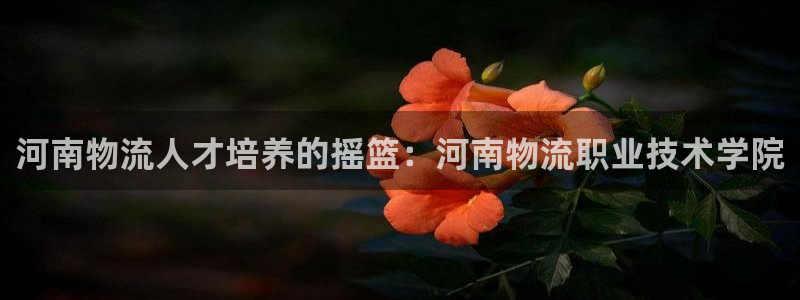 28圈预测加拿大师准