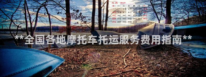 28圈在线预测官网