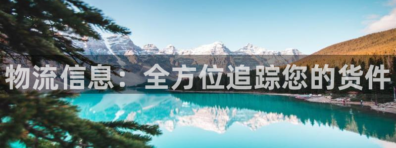 28圈预测