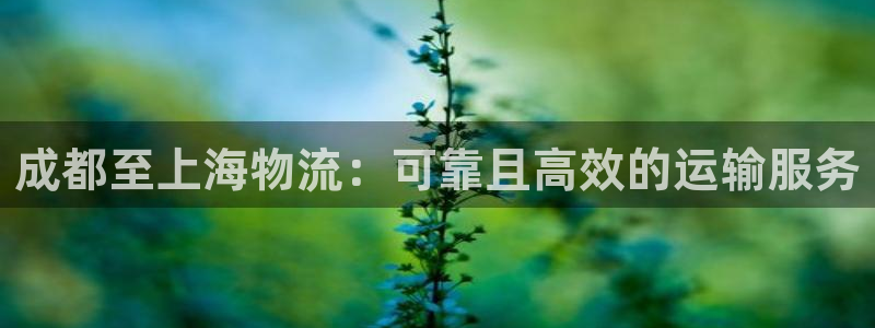 28圈口戒指是多大