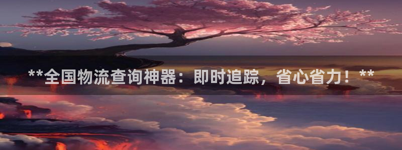 28圈退款