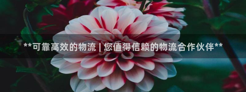 28圈最稳打法