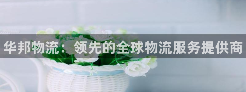 28圈如何注销账号：华邦物流：领先的