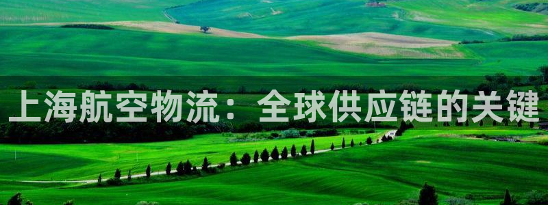 28圈注册网址百度知道：上海航空物流