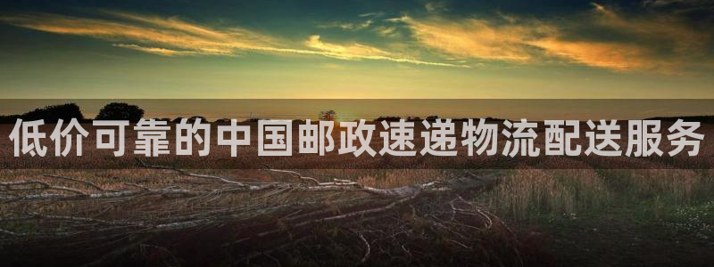28圈注册与教程：低价可靠的中国邮政