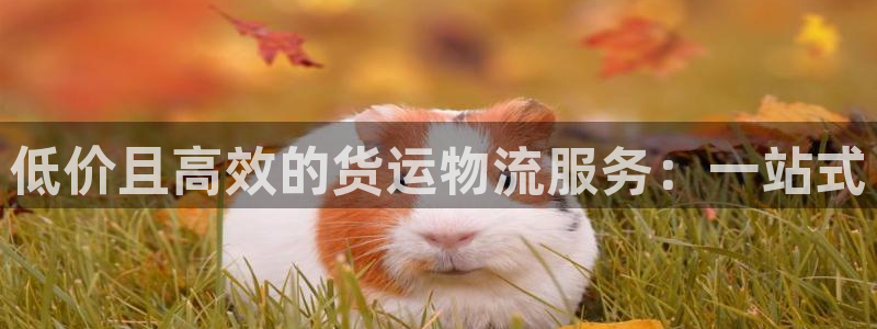 28圈ccm游戏：低价且高效的货运物