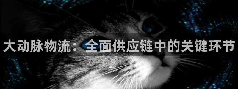 28圈官方网站