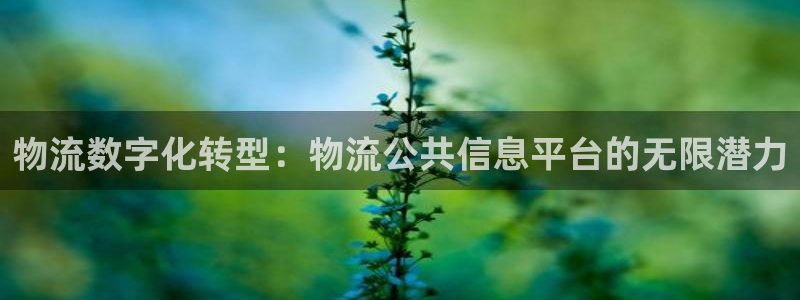 28圈反水怎么算