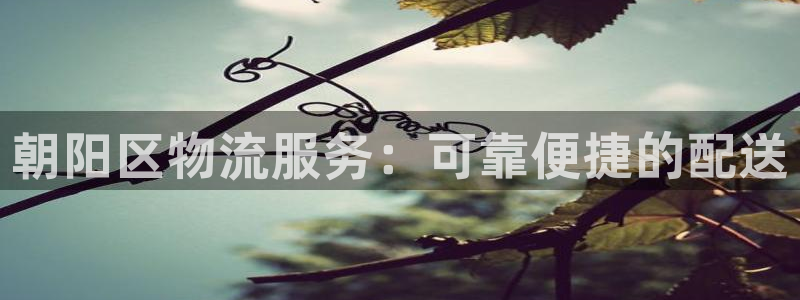 28圈网站平台