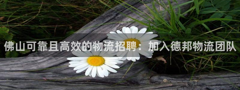 28圈.ccmpcios