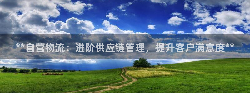 28圈加拿大最新版：**自营物流：进