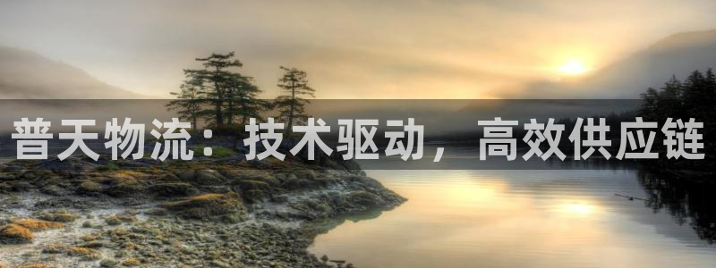 28圈注册网站多少钱一个：普天物流：