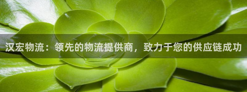 28圈注册号：汉宏物流：领先的物流提