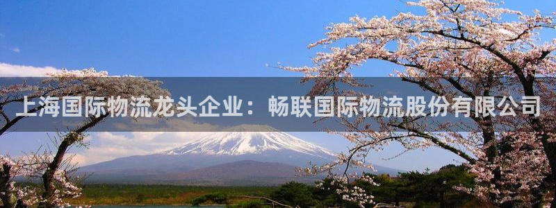 28圈分分压单双技巧：上海国际物流龙