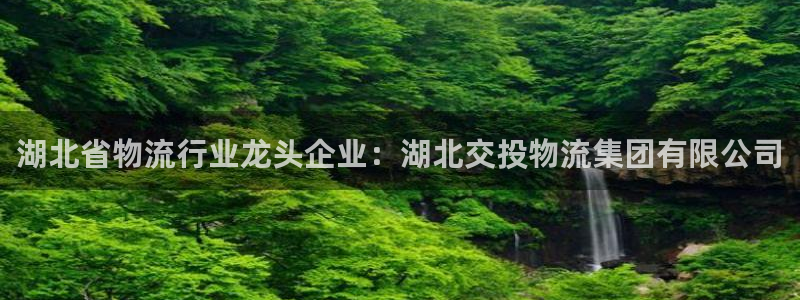 28圈激活码