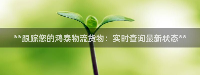 28圈登录网：**跟踪您的鸿泰物流货