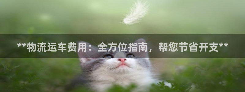 28圈