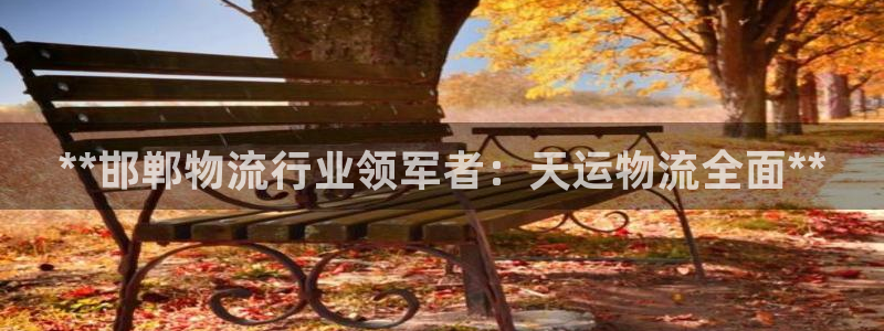 自行车28圈是什么意思