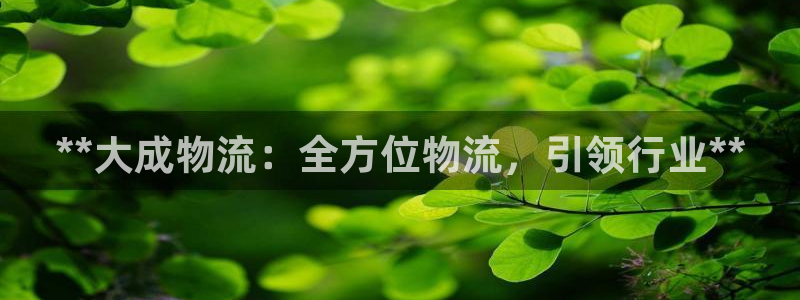 28圈充值金额随便：**大成物流：全