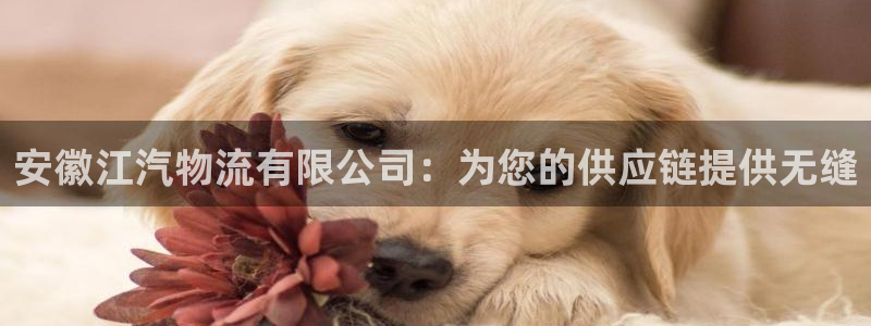 28圈.ccmpc预测：安徽江汽物流