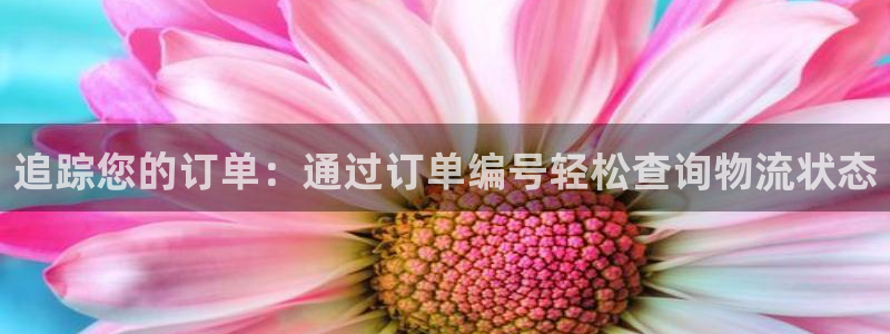 28圈加拿大app预测