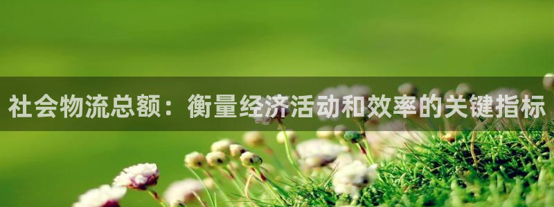 28圈麻将胡了爆分视频：社会物流总额