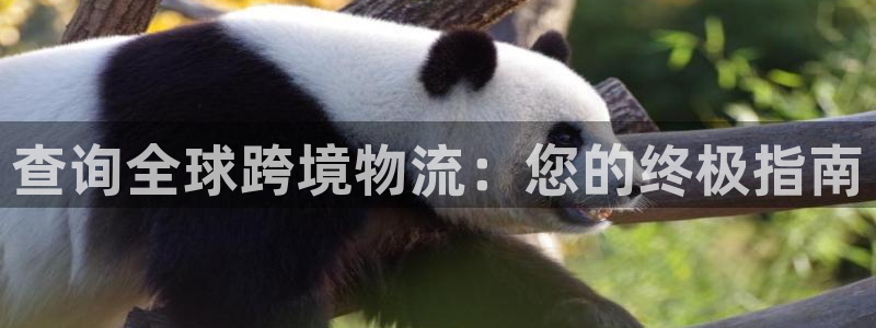 28圈在线预测官网：查询全球跨境物流