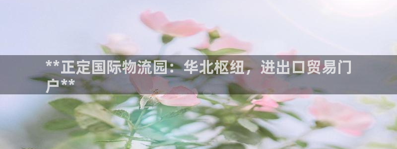28圈黑不黑：**正定国际物流园：华