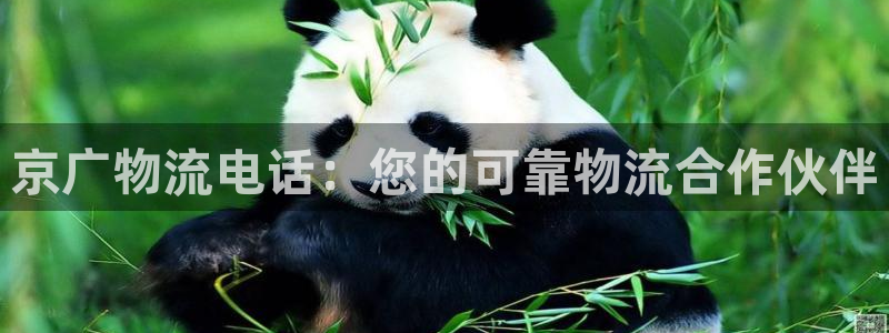 28圈登陆网